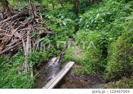 インドネシア　バリ島　世界遺産グヌン・カウィ 128467004