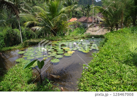 インドネシア　バリ島　世界遺産グヌン・カウィ 128467008