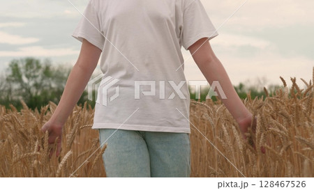agriculture, wheat field, golden wheat farm field sunset, agriculture farm, agriculture, hand touching ears wheat, barley field, child hands, daughter holds wheat hands, hand sliding rye, hand sliding agriculture, wheat field, golden wheat farm field sunset, agriculture farm, agriculture, hand touching ears wheat, barley field, child hands, daughter holds wheat hands, hand sliding rye, hand sliding 128467526