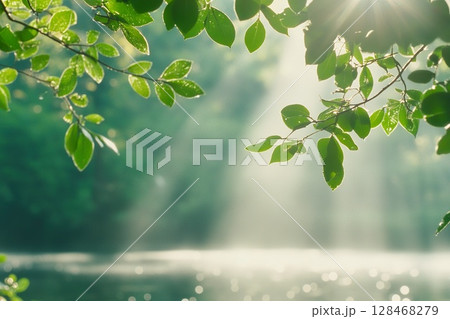 Sunlight Filtering Through Lush Green Leaves Over a Tranquil Lake Surface. 128468279