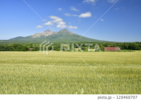 夏の北海道森町で麦畑と駒ヶ岳の風景を撮影 128468707
