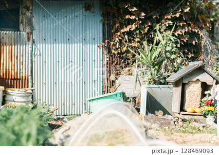 滋賀県近江八幡市から琵琶湖の沖合約1.5㎞に浮かぶ沖島の島内を撮影 128469093