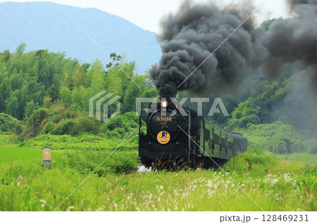 SLやまぐち号　D51　9566 128469231