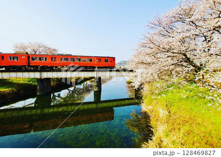 桜咲く鉄橋を渡るディーゼル列車2 128469827