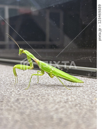 材質 テクスチャ 材料 128469889