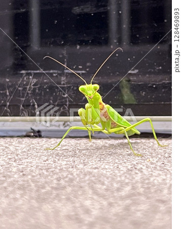 材質 テクスチャ 材料 128469893