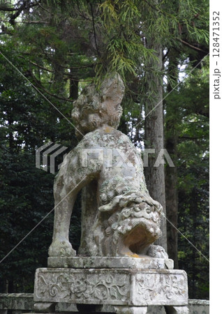 尻上がりの獅子像(吽形像)（倭文(しとり･しずり)神社／鳥取県東伯郡湯梨浜町大字宮内754） 128471352
