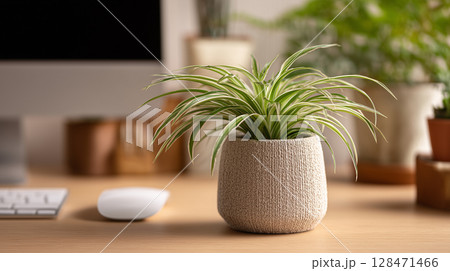 観葉植物の小さな鉢植えクローズアップ　居心地の良いワークスペース背景　AI生成画像 128471466