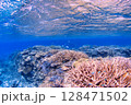 青い海とサンゴ 128471502