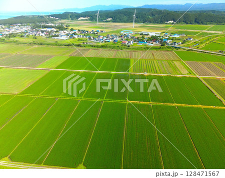 夏の北海道江差町で水田の風景を空撮 128471567