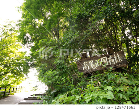 高尾山のハイキングコース　山頂付近　東京都 128471663