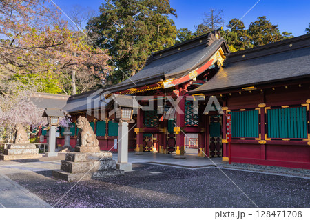 落花の塩釜神社唐門と廻廊 128471708