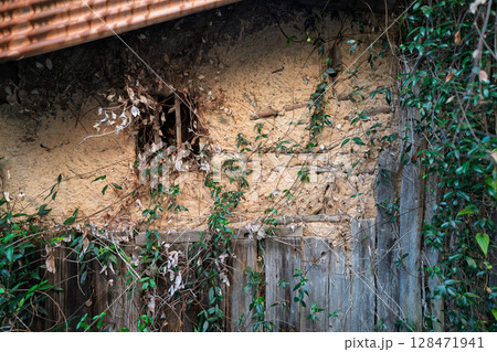 滋賀県近江八幡市から琵琶湖の沖合約1.5㎞に浮かぶ沖島の島内を撮影 滋賀県近江八幡市から琵琶湖の沖合約1.5㎞に浮かぶ沖島の島内を撮影 128471941