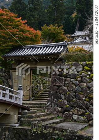 出石城の紅葉 出石城の紅葉 128472037