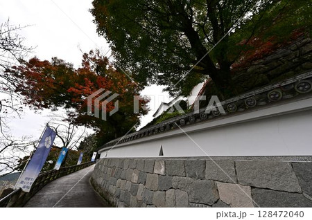 福知山城の紅葉 福知山城の紅葉 128472040
