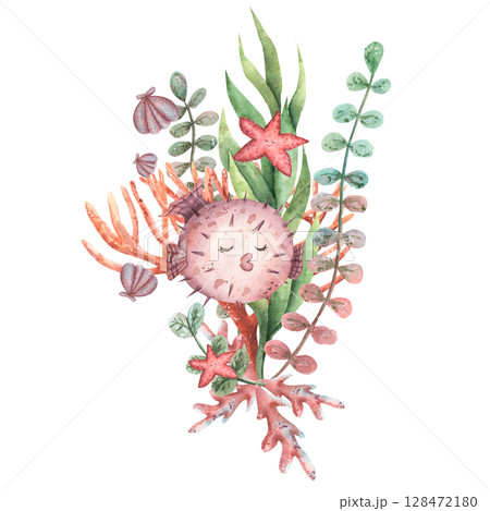 Watercolor kids hand draw set of sea life. Children's illustration with fish, seaweed, shells, starfish, coral. Hand draw reef for child. 128472180