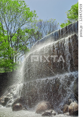 西新宿 都心のオアシス、新宿ナイアガラの滝（東京） 128472459