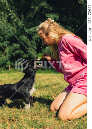 Pretty pet owner playing with dog Neon yellow badminton shuttlecock on green grass outdoors. Alternative fitness recreational sport. Furry friends pet-centric 128472692