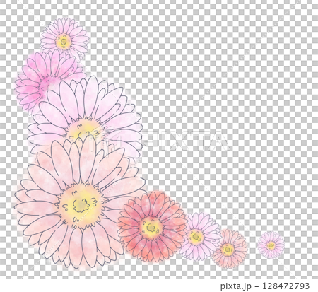 粉紅色水彩非洲菊用於角落 128472793