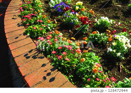 花壇の花の風景 花壇の花の風景 128472944