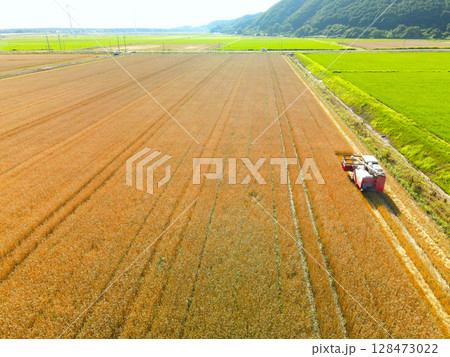夏の北海道江差町で秋まき小麦の収穫作業風景を空撮 夏の北海道江差町で秋まき小麦の収穫作業風景を空撮 128473022