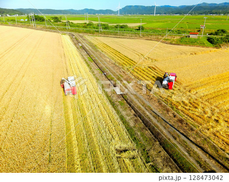夏の北海道江差町で秋まき小麦の収穫作業風景を空撮 夏の北海道江差町で秋まき小麦の収穫作業風景を空撮 128473042