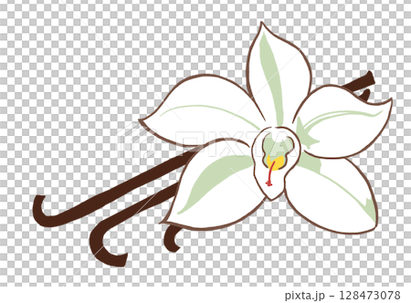 香草花和香草豆 128473078