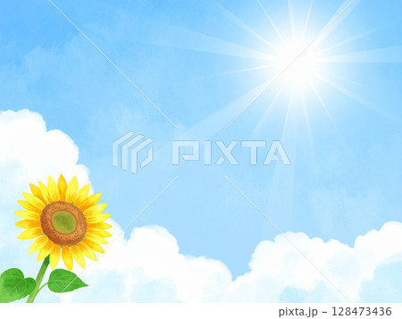 一輪の向日葵と青空 128473436