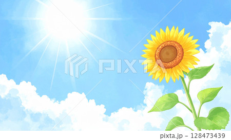 一輪の向日葵と青空 一輪の向日葵と青空 128473439