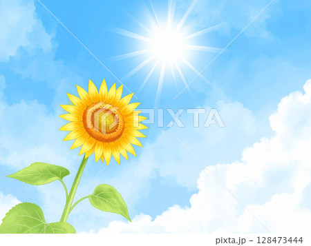 一輪の向日葵と青空 128473444