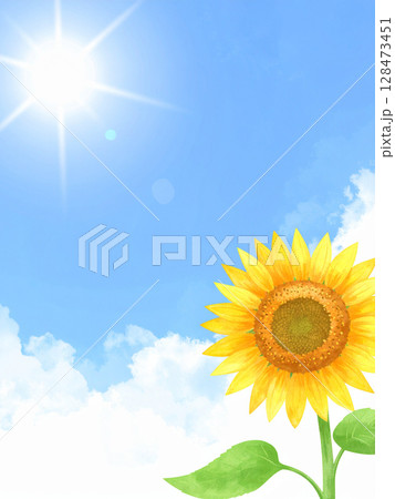 一輪の向日葵と青空 一輪の向日葵と青空 128473451
