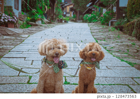 馬籠宿で散歩 128473563