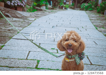 馬籠宿で散歩 馬籠宿で散歩 128473568