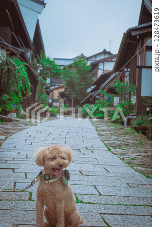 馬籠宿で散歩 馬籠宿で散歩 128473619