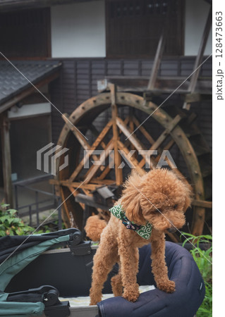 馬籠宿で散歩 128473663