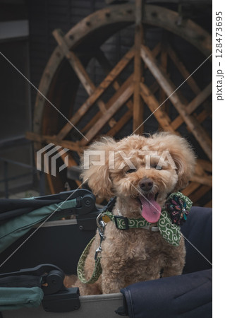 馬籠宿で散歩 馬籠宿で散歩 128473695
