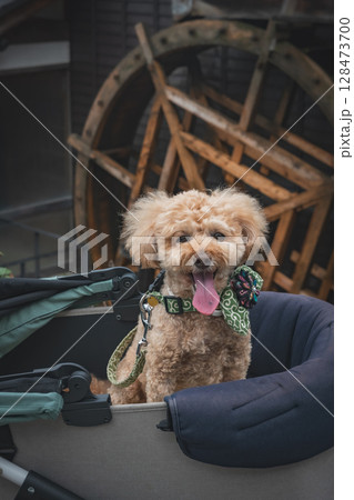 馬籠宿で散歩 馬籠宿で散歩 128473700