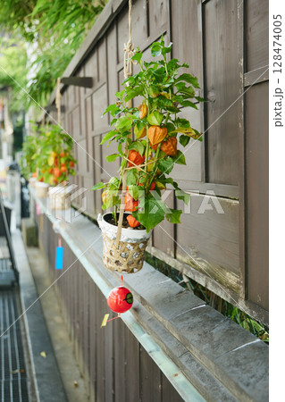 伊香保温泉街　 128474005