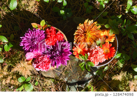 鎌倉 一条恵観山荘 美しい花手水(神奈川県鎌倉市) 鎌倉 一条恵観山荘 美しい花手水(神奈川県鎌倉市) 128474098