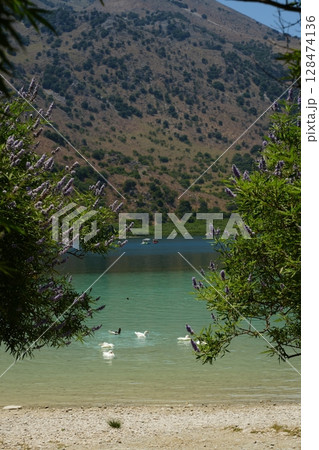 Serene Lake Scene with Geese and Lush Mountains 128474136