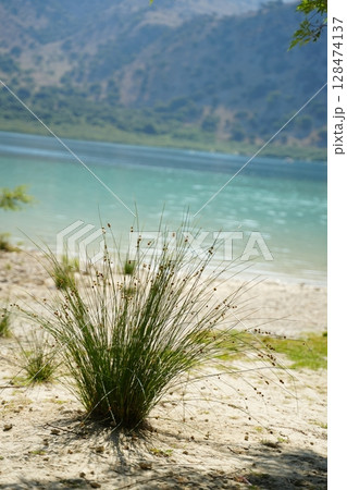 Scenic Lakefront with Grassy Shoreline and Mountains Scenic Lakefront with Grassy Shoreline and Mountains 128474137
