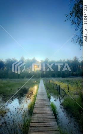 A Tranquil Wooden Pathway Winding Through Lush, Green Nature for Everyone to Enjoy A Tranquil Wooden Pathway Winding Through Lush, Green Nature for Everyone to Enjoy 128474318