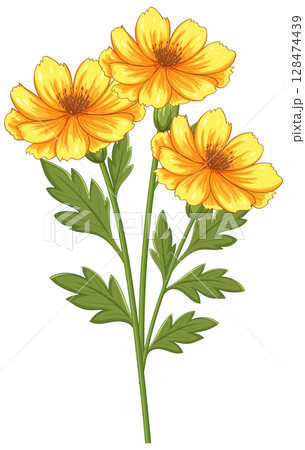 Vibrant Yellow Flowers with Green Leaves Illustration 128474439