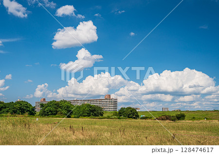 夏の淀川河川敷風景 大阪府枚方市 夏の淀川河川敷風景 大阪府枚方市 128474617