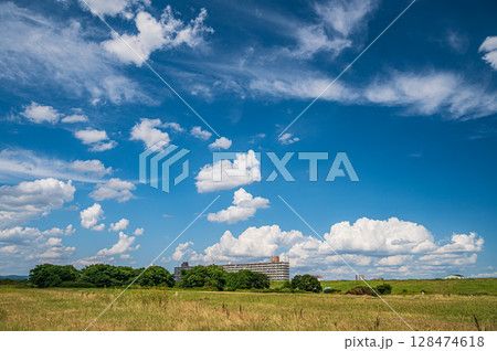 夏の淀川河川敷風景 大阪府枚方市 夏の淀川河川敷風景 大阪府枚方市 128474618