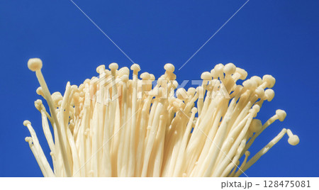 Enoki mushrooms on blue background. Healthy and vegetarian food concept. Enoki mushrooms on blue background. Healthy and vegetarian food concept. 128475081