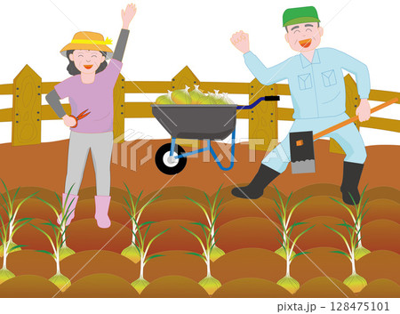 高齢者夫婦の楽しい家庭菜園 128475101