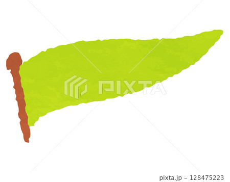 旗 水彩 手書き風 あしらい hand-drawn decoration flag 旗 水彩 手書き風 あしらい hand-drawn decoration flag 128475223
