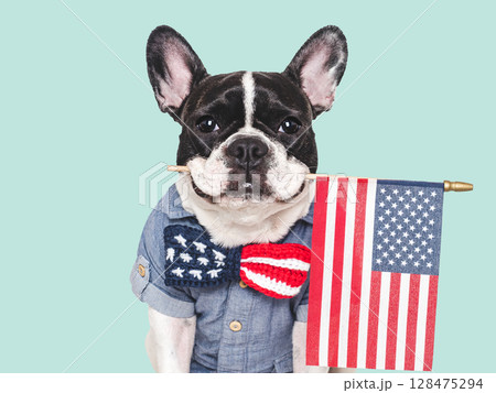 Cute puppy and bow tie with American Flag pattern 128475294