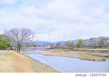 京都 鴨川の早春 京都 鴨川の早春 128475434